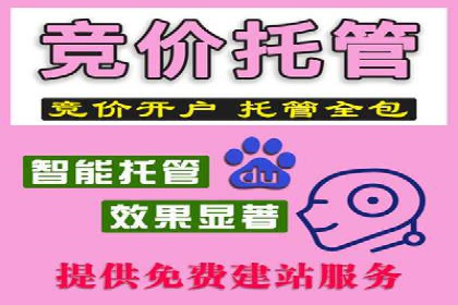谷歌竞价广告的投放策略与成功案例分析
